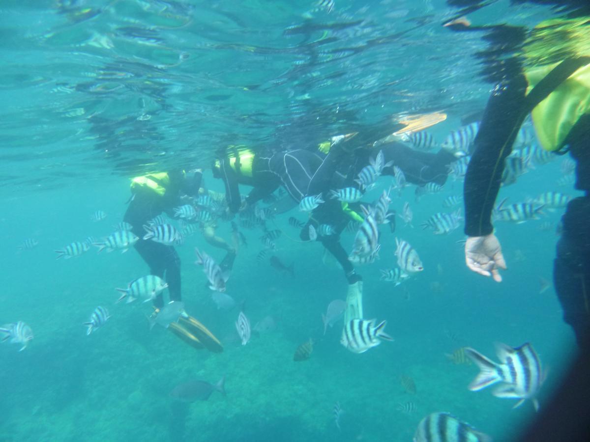 Hotel Sha La La Okinawa Dış mekan fotoğraf